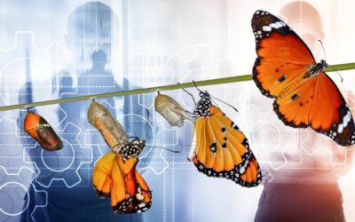 Le bilan de compétences en 2026 : dispositif d’ancrage et d’impulsion